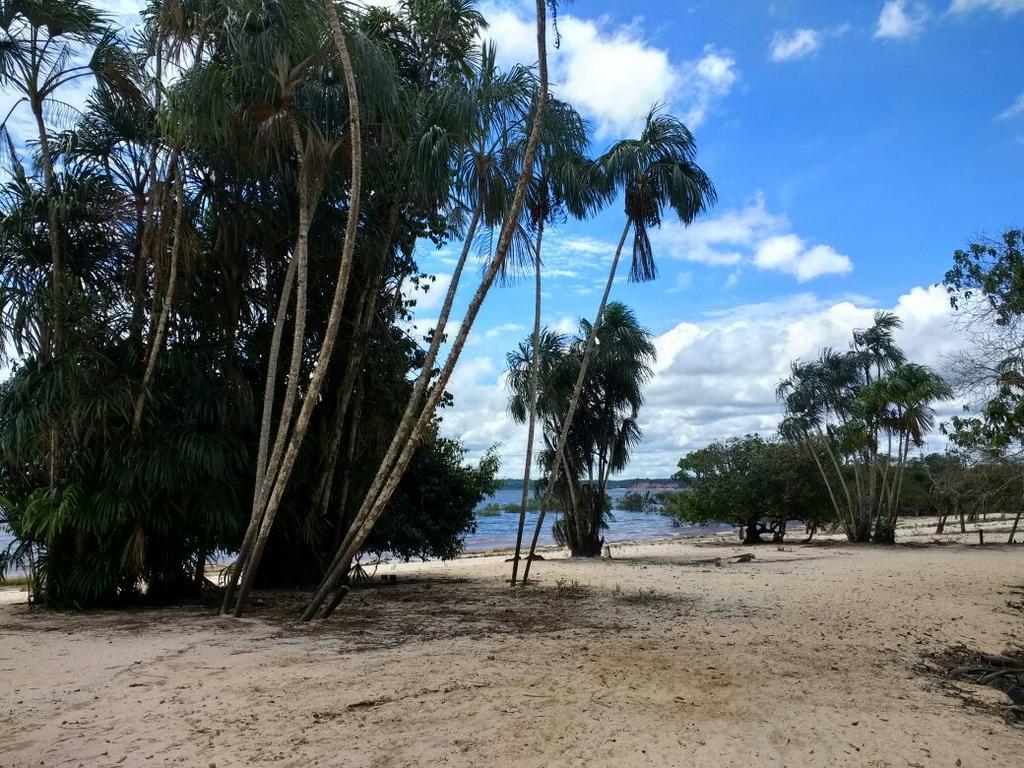 Casa Varanda Do Tupe Manaus Kültér fotó